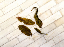 Load image into Gallery viewer, Roasted Phoenix Green 單叢綠茶