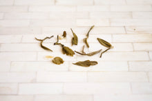 Load image into Gallery viewer, Jasmine Snowdrift Green 明前飄雪綠茶
